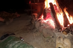 Got to keep warm!